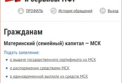 Как узнать остаток материнского капитала через пенсионный фонд, через Госуслуги