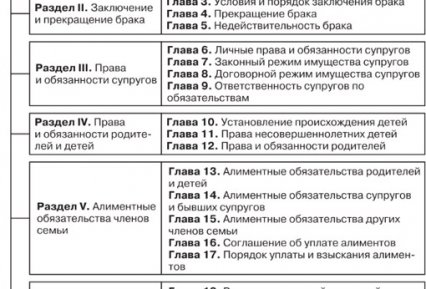 Закон РФ о снижении возраста брачного совершеннолетия
