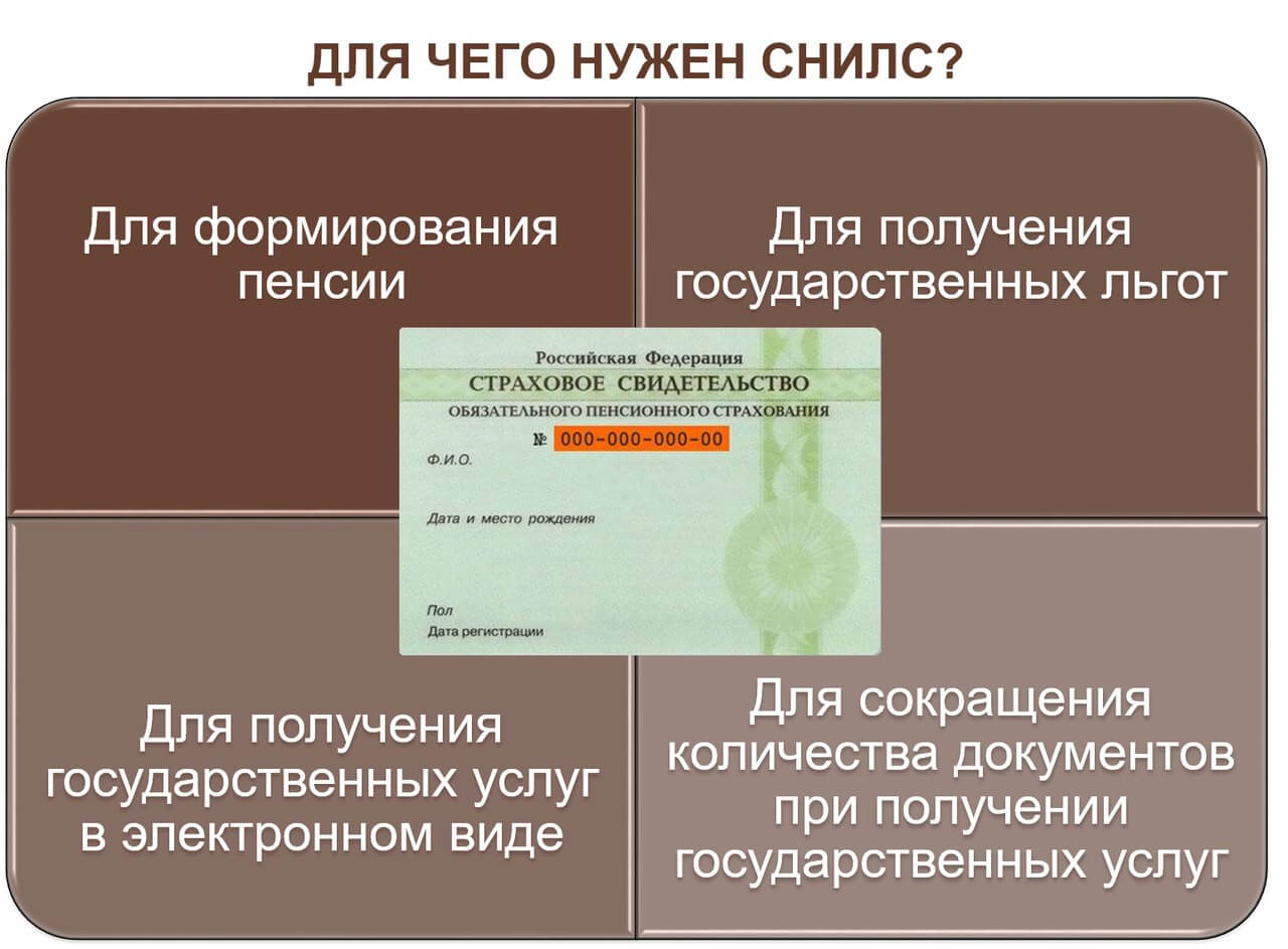 Сколько по времени делается снилс повторно