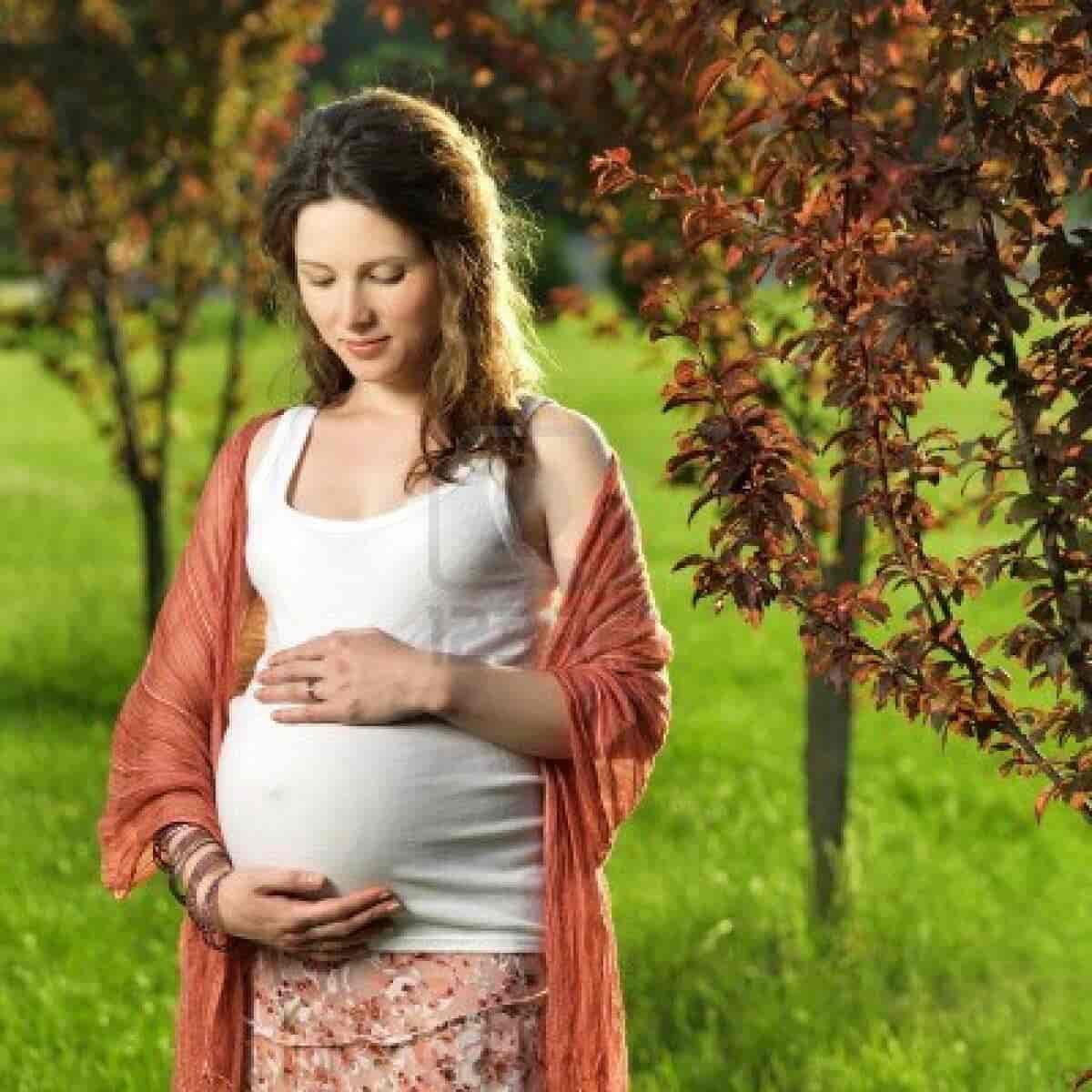 Что положено многодетной матери с 3 детьми в 2019 году